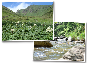 国見温泉・森山荘